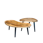 Set van 2 mangohouten salontafels