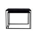 Mangohouten Salontafel Carlin set van 2 Laag
