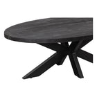 zwarte ovale salontafel van mangohout