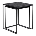 Mangohouten Salontafels Carlin set van 2